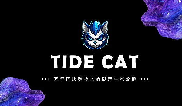 MEME币狂欢背后：我们究竟投资了什么？